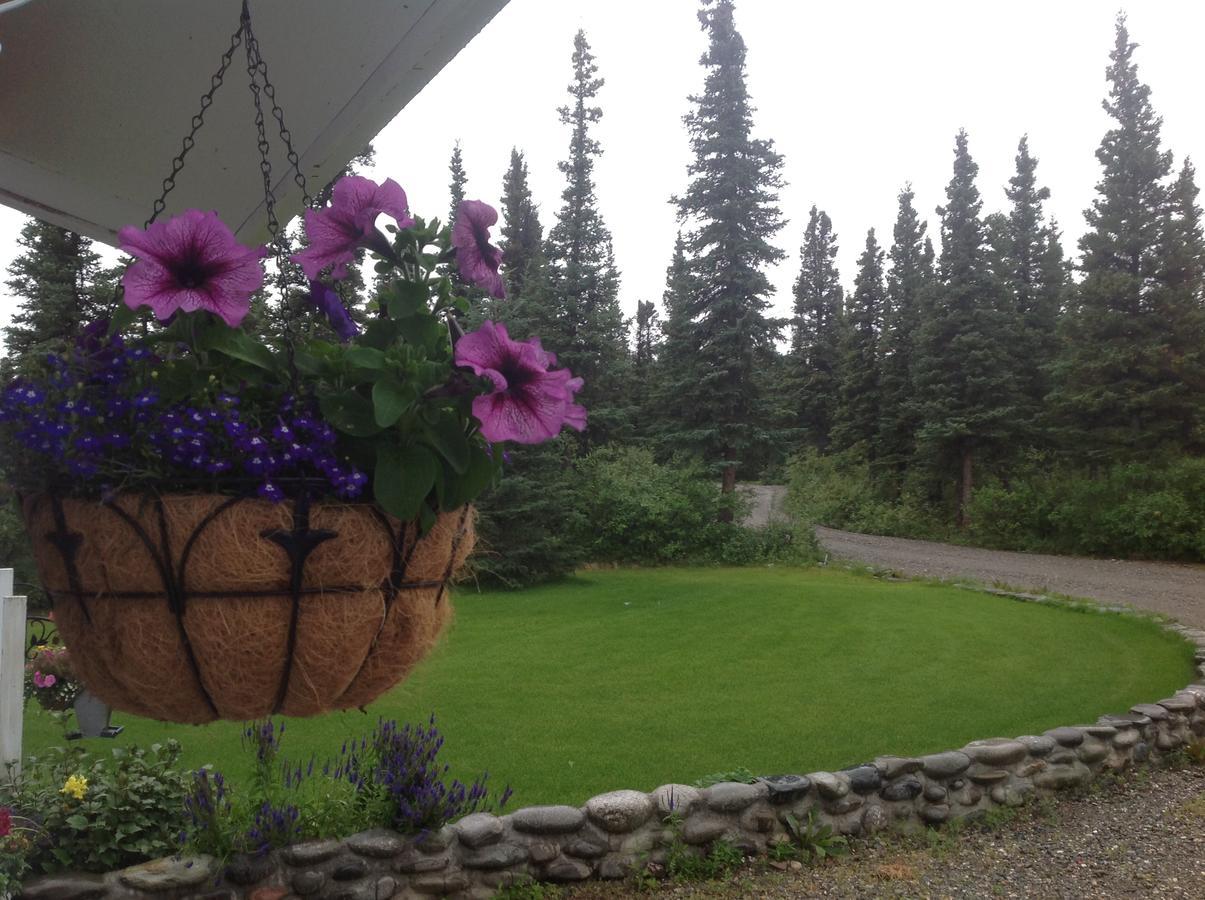 Denali Primrose Bed & Breakfast Healy Zewnętrze zdjęcie